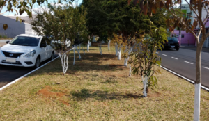 Leia mais sobre o artigo Binding Site adota áreas verdes em São Carlos