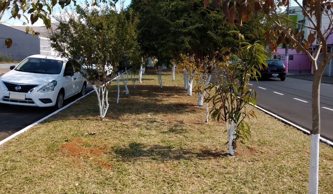 Você está visualizando atualmente Binding Site adota áreas verdes em São Carlos